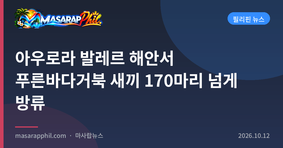 아우로라 발레르 해안서 푸른바다거북 새끼 170마리 넘게 방류