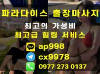 세부 불건전 마사지 (파라다이스 출장마사지)