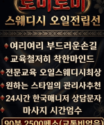로미로미 스웨디시 오일 전립선 마사지