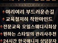 로미로미 스웨디시 오일 전립선 마사지